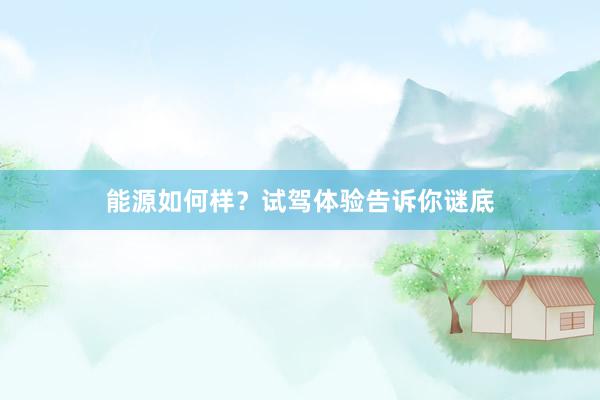 能源如何样？试驾体验告诉你谜底